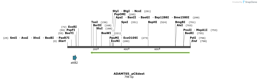 95973_map
