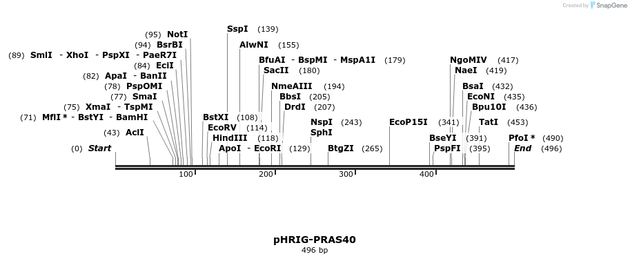 95976_map