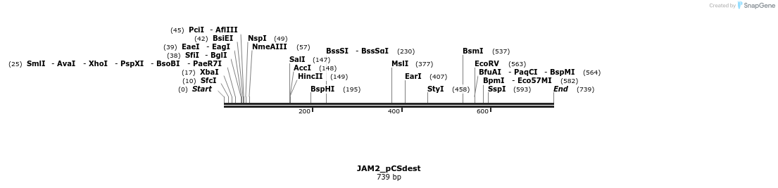95977_map