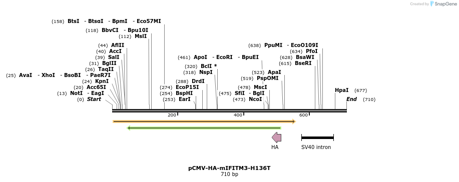 95985_map
