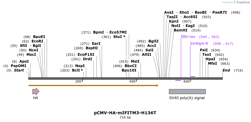 95987_map