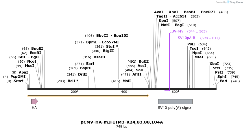 95988_map
