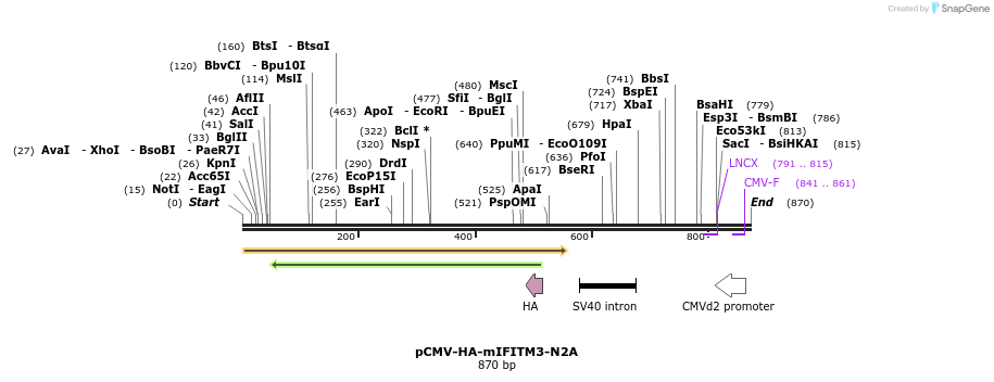 95991_map