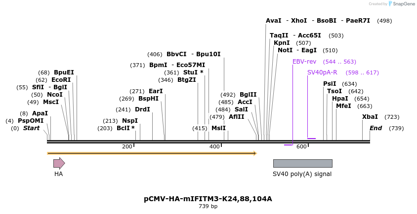 95992_map