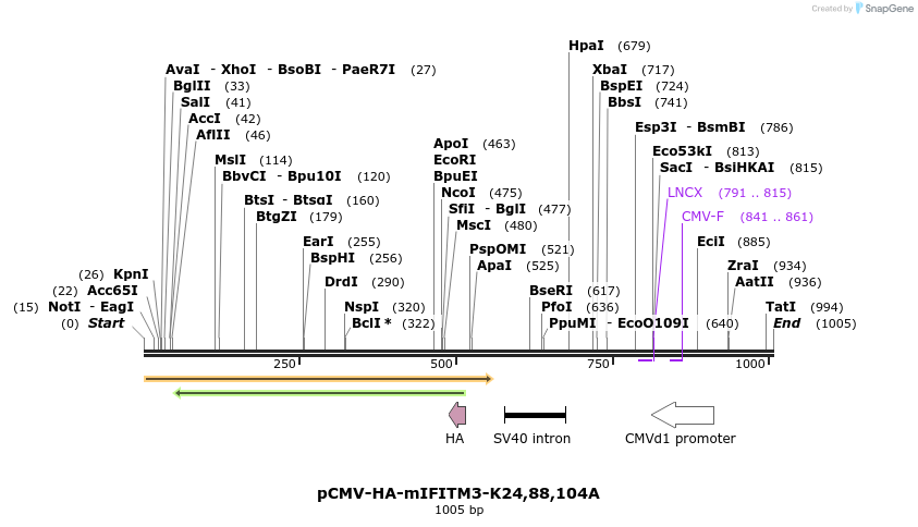 95993_map