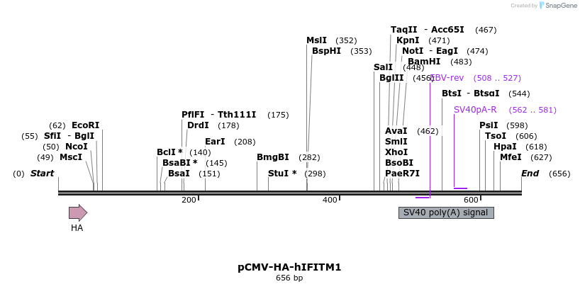 95994_map