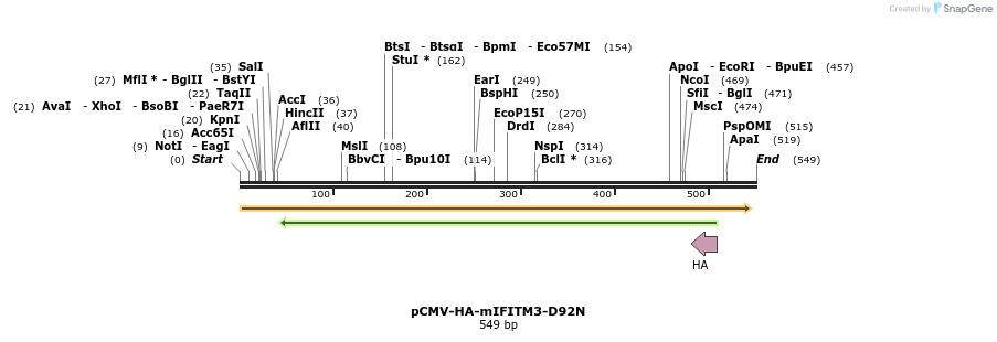 95996_map