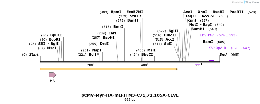 95997_map