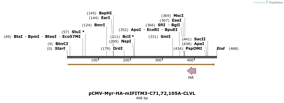 95998_map