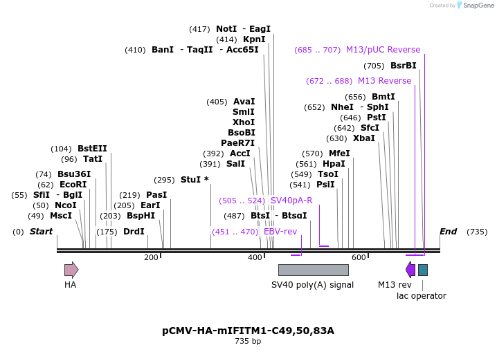 95999_map