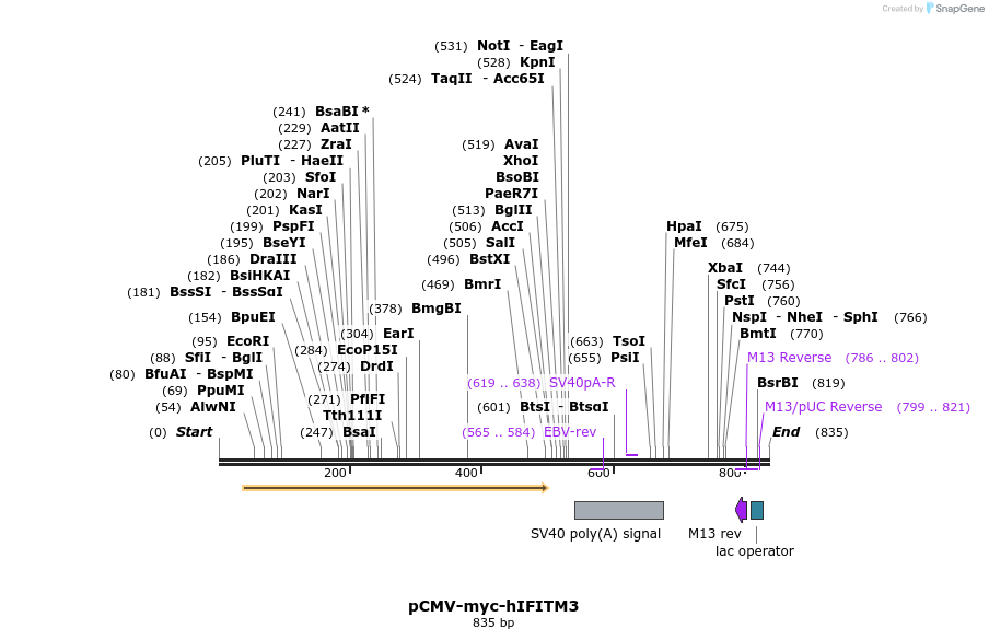 96001_map