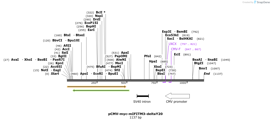 96004_map