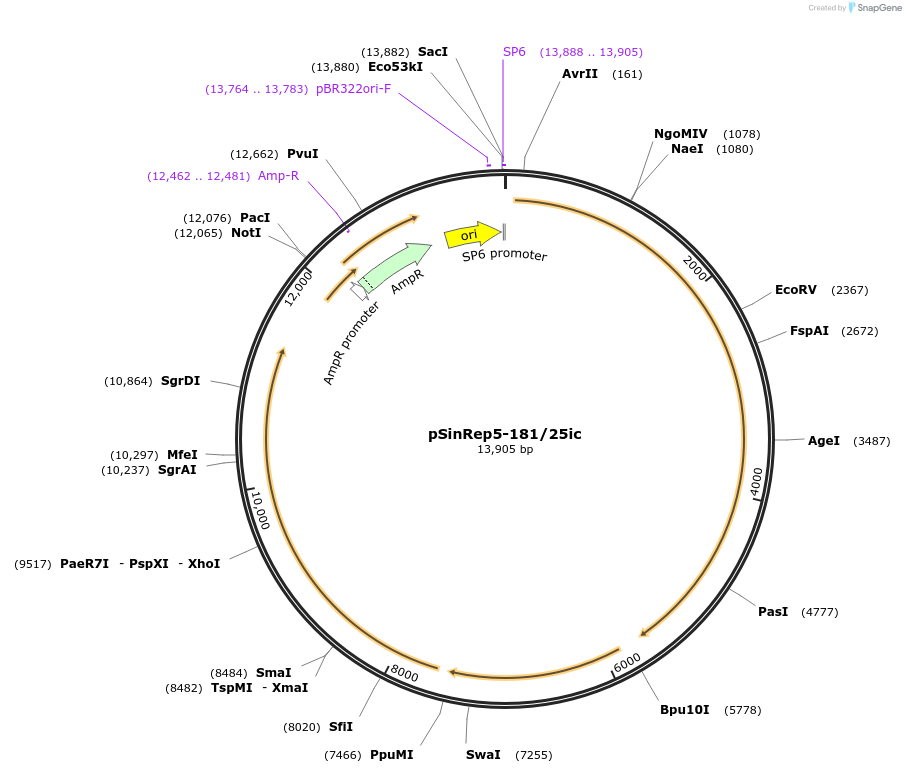 96016_map