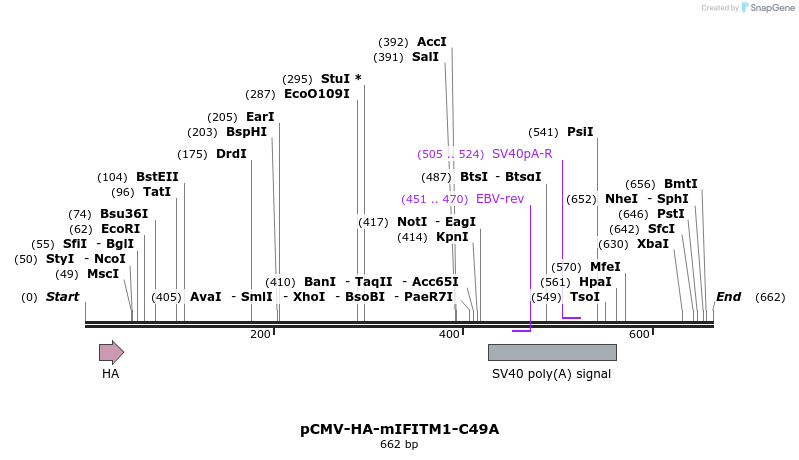 96017_map