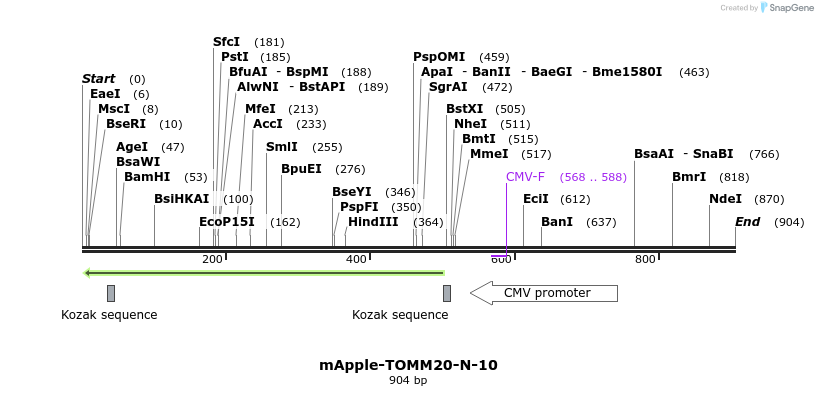 96019_map