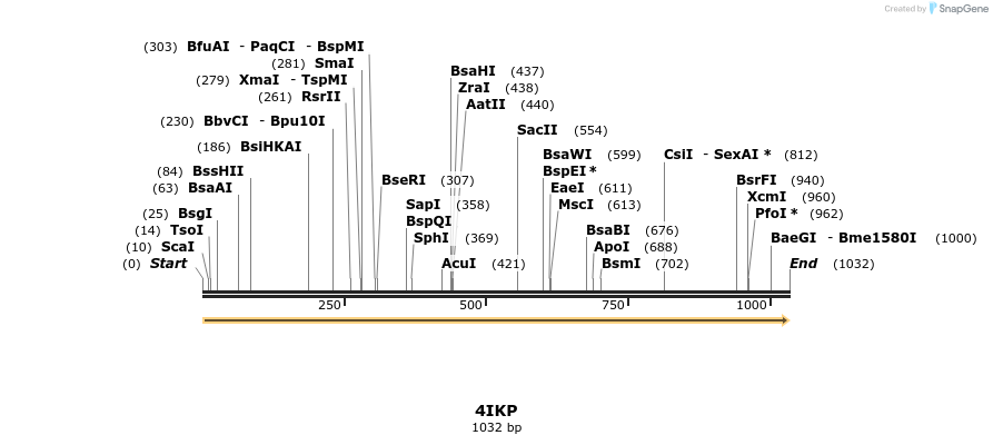 96020_map