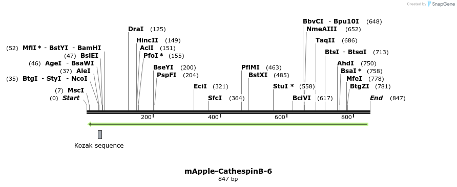 96021_map