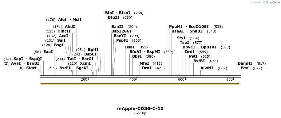 96022_map
