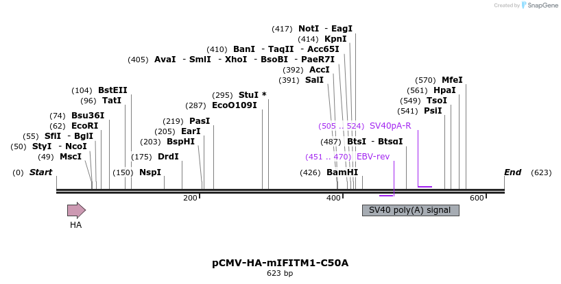 96023_map
