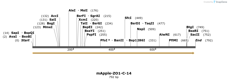 96025_map