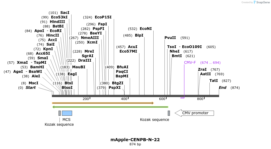 96026_map
