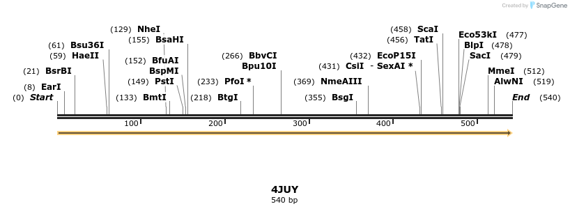 96028_map