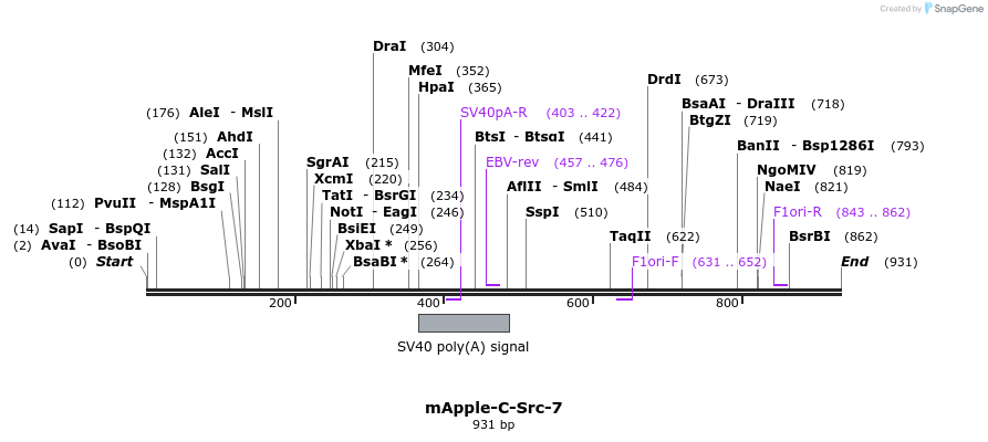 96029_map