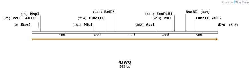 96031_map