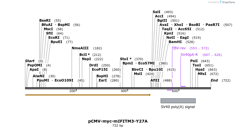 96035_map