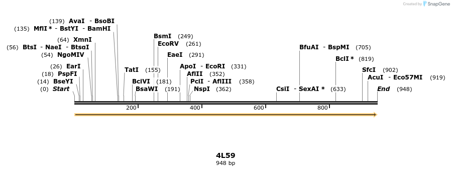 96037_map