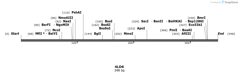 96038_map