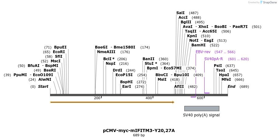 96039_map