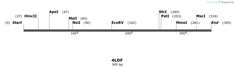 96040_map