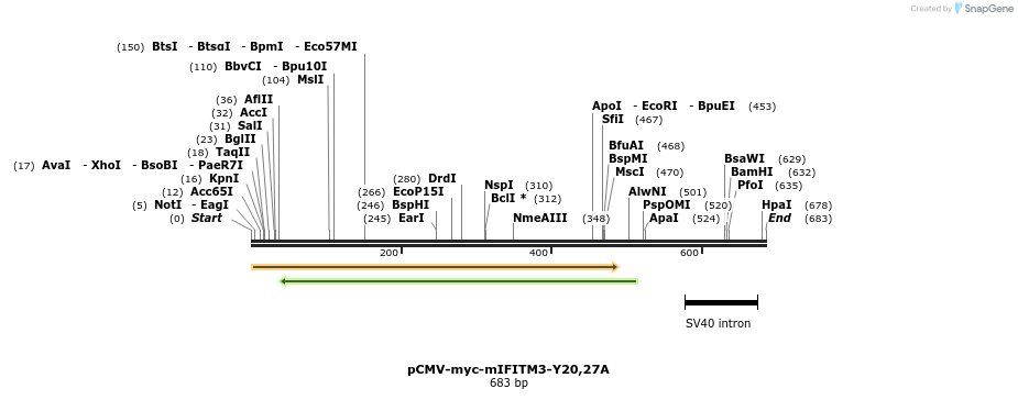 96041_map