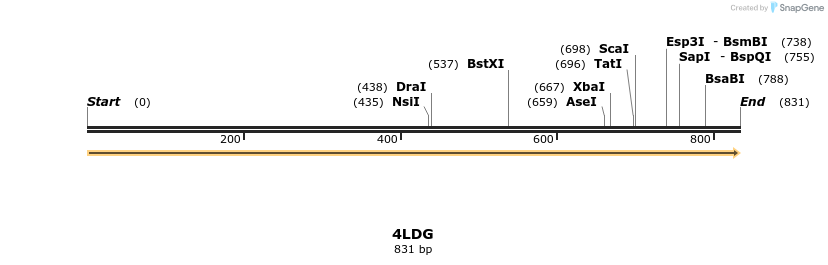96042_map