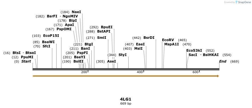 96045_map
