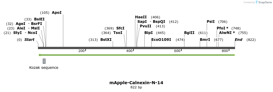 96048_map