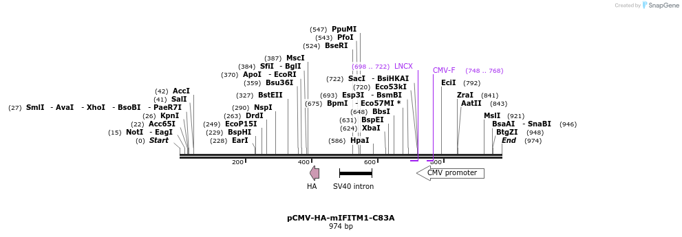 96049_map