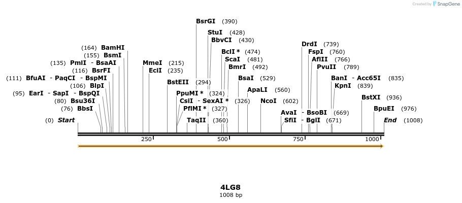 96051_map