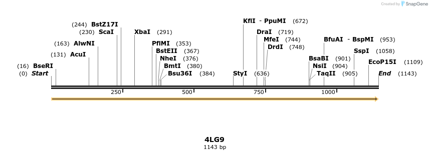 96052_map