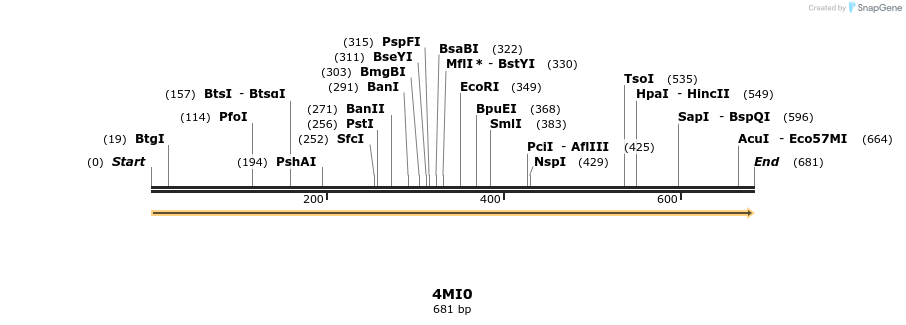 96053_map