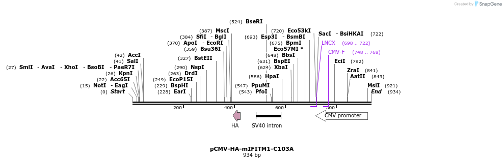 96055_map