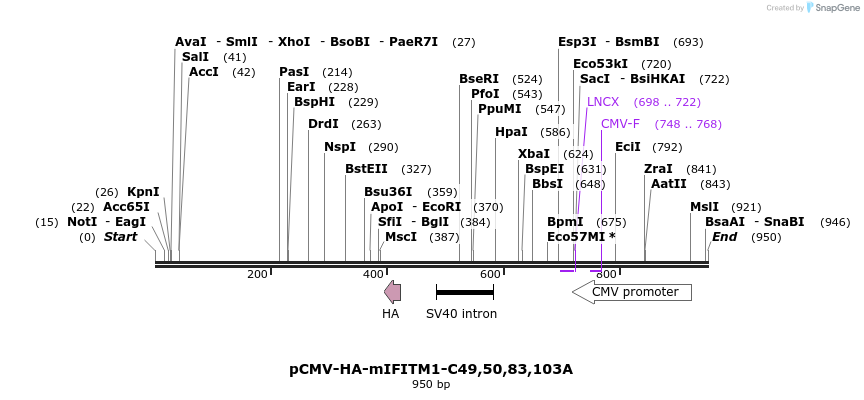 96057_map