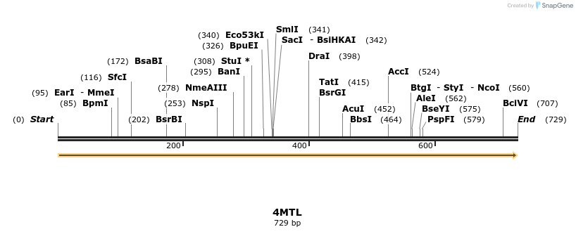 96058_map