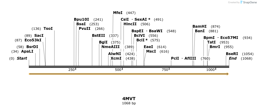 96059_map
