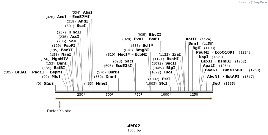 96060_map