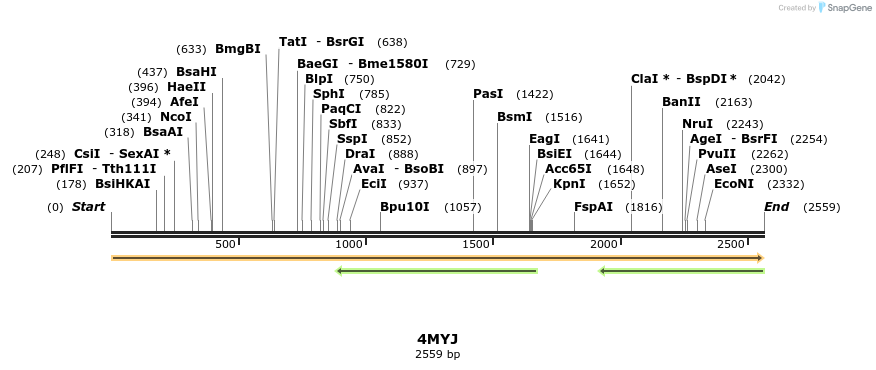 96062_map