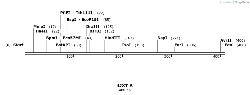 96063_map