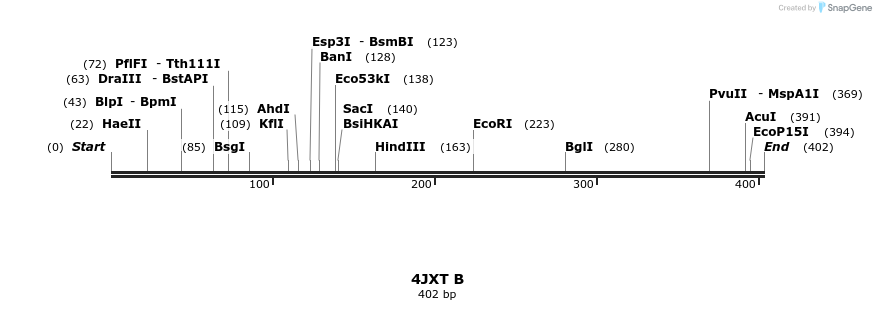 96064_map