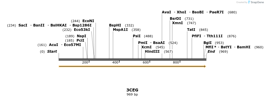 96065_map